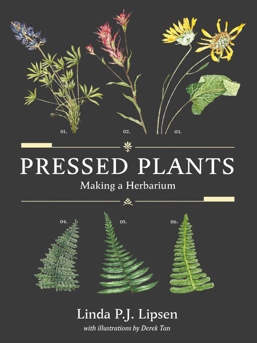 Title details for Pressed Plants by Linda P.J. Lipsen - Available